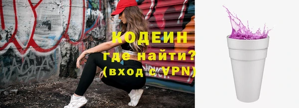 прущие грибы Саяногорск