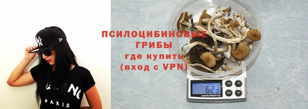 синтетический гашиш Алексеевка