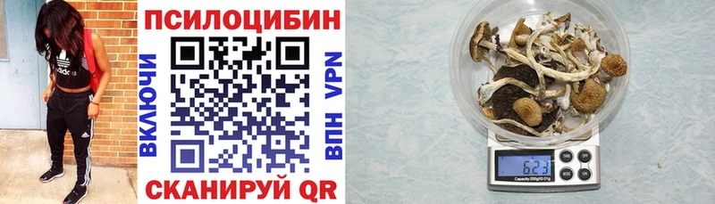 Псилоцибиновые грибы мицелий  мориарти клад  Приморск  mega tor 