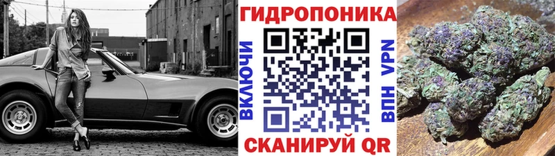 Шишки марихуана VHQ  Приморск 